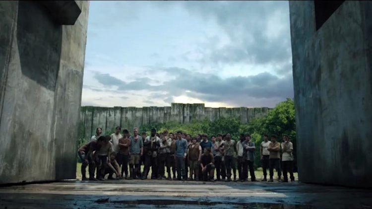 The Maze Runner – They're all starting to look the same now tmr ...